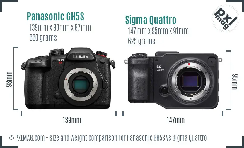 Panasonic GH5S vs Sigma Quattro size comparison