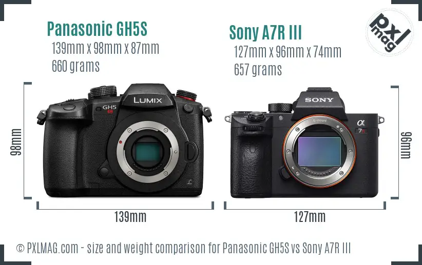 Panasonic GH5S vs Sony A7R III size comparison