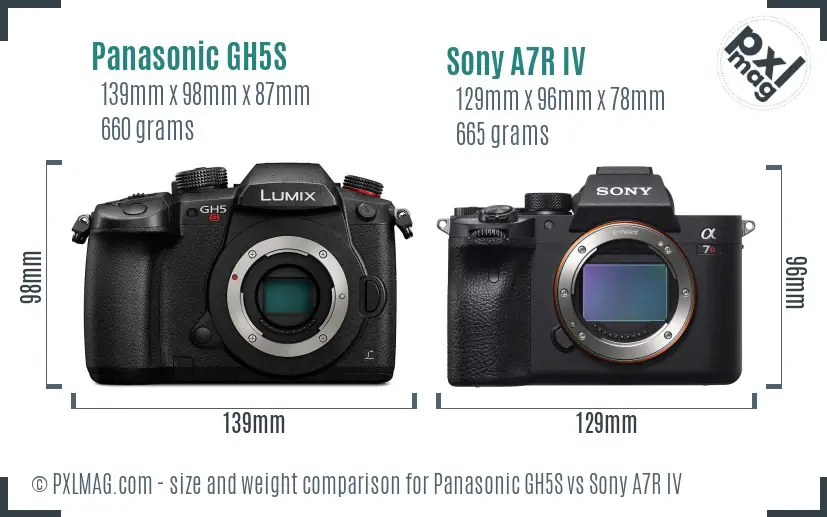 Panasonic GH5S vs Sony A7R IV size comparison