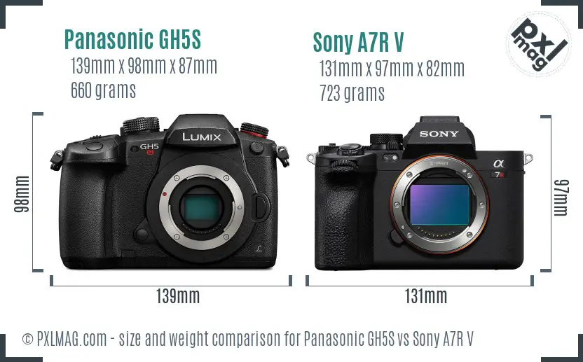 Panasonic GH5S vs Sony A7R V size comparison