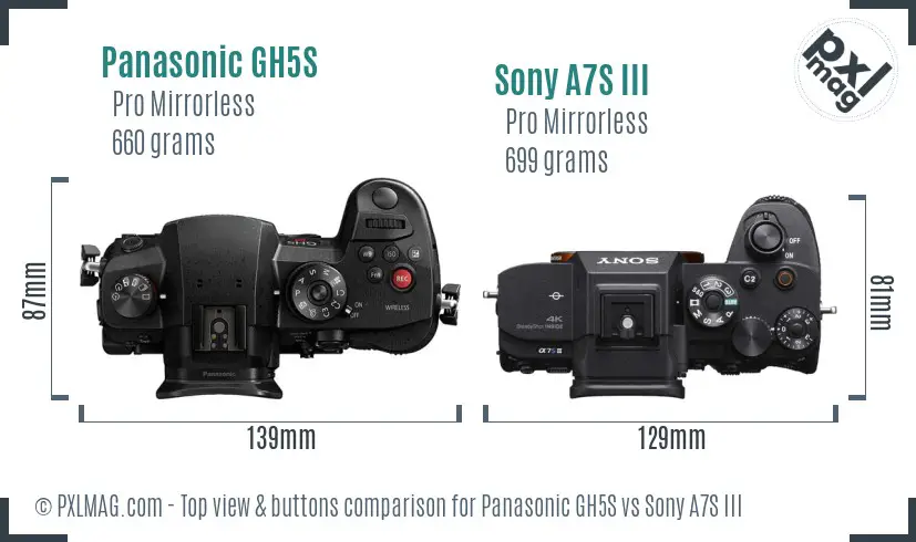 Panasonic GH5S vs Sony A7S III top view buttons comparison