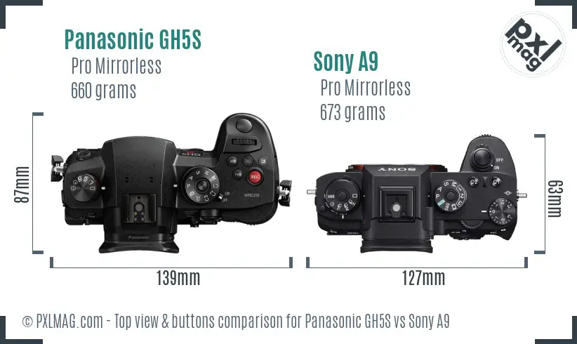 Panasonic GH5S vs Sony A9 top view buttons comparison