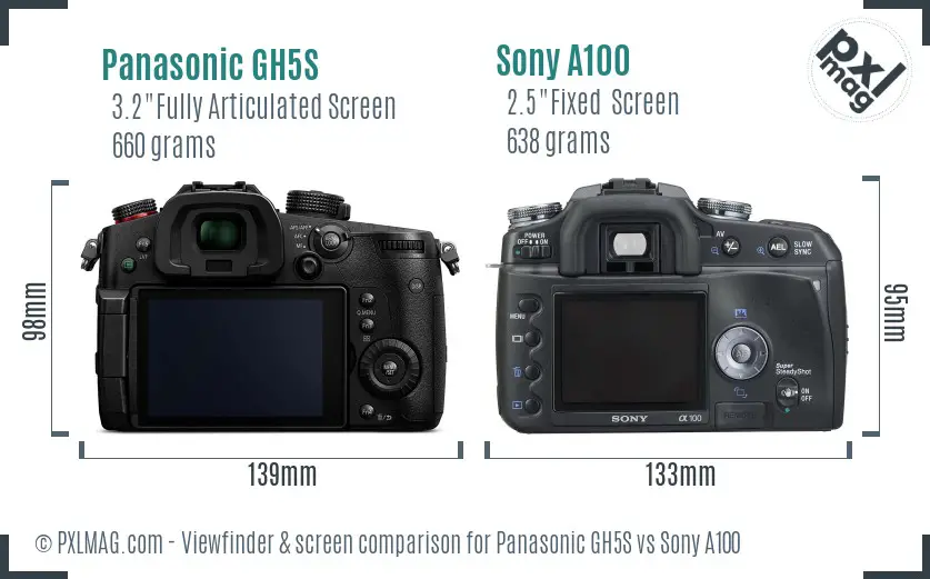 Panasonic GH5S vs Sony A100 Screen and Viewfinder comparison