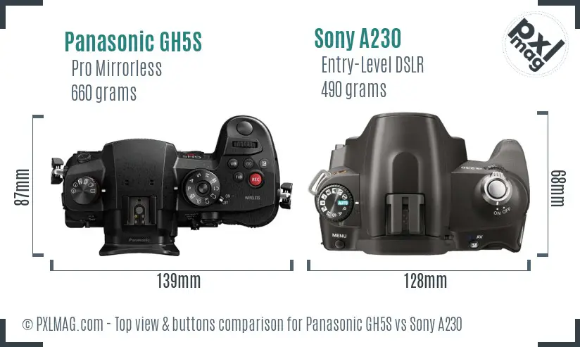 Panasonic GH5S vs Sony A230 top view buttons comparison
