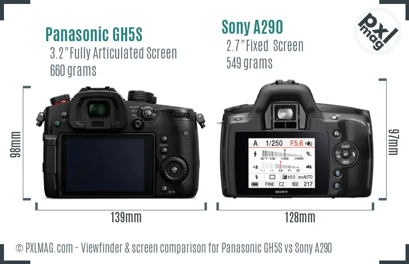 Panasonic GH5S vs Sony A290 Screen and Viewfinder comparison