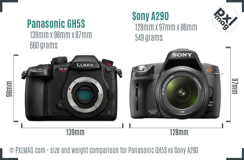 Panasonic GH5S vs Sony A290 size comparison