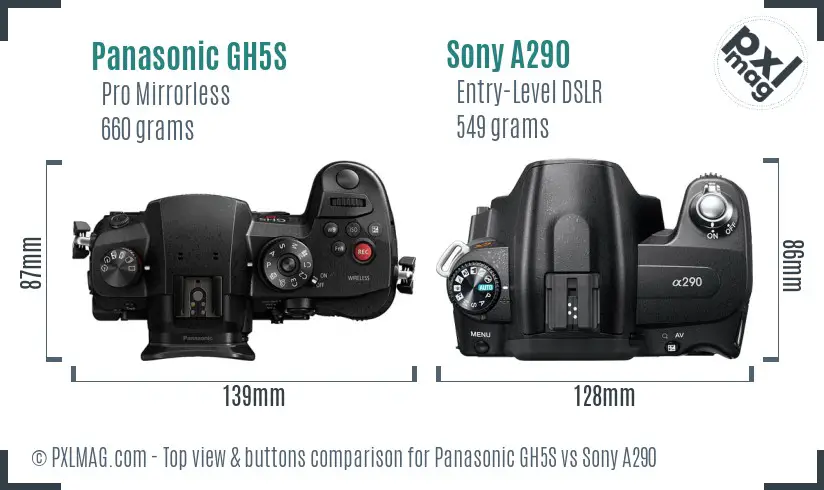 Panasonic GH5S vs Sony A290 top view buttons comparison