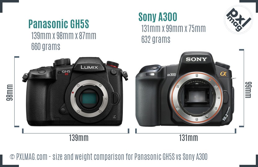 Panasonic GH5S vs Sony A300 size comparison
