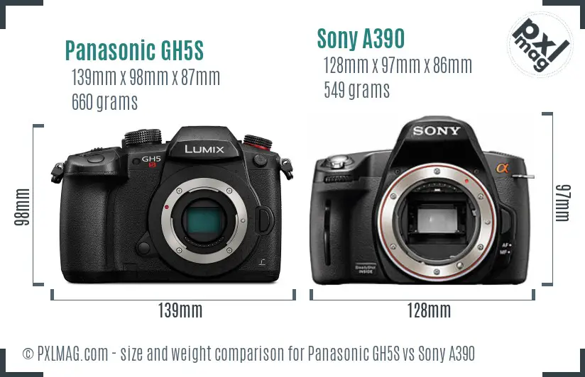 Panasonic GH5S vs Sony A390 size comparison