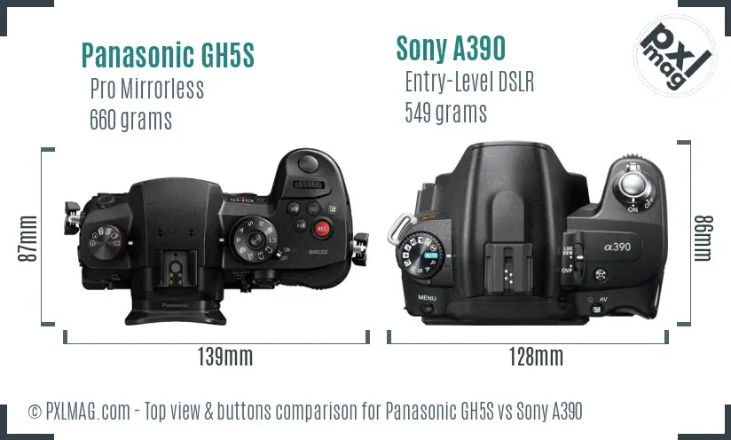 Panasonic GH5S vs Sony A390 top view buttons comparison