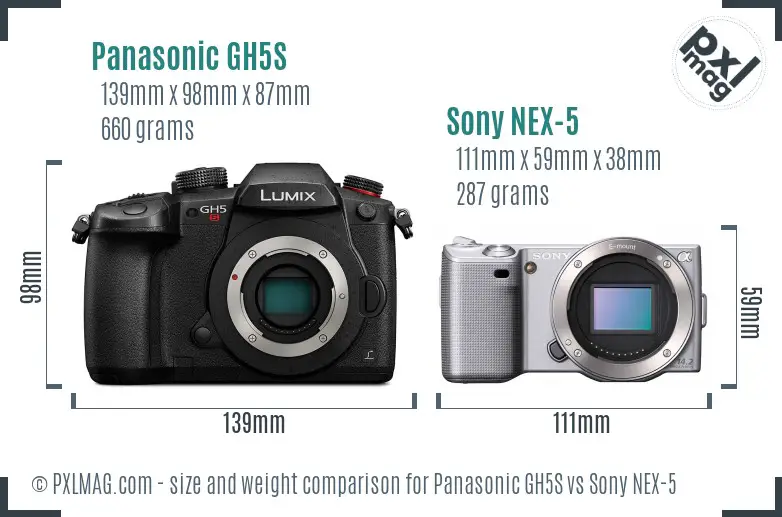 Panasonic GH5S vs Sony NEX-5 size comparison