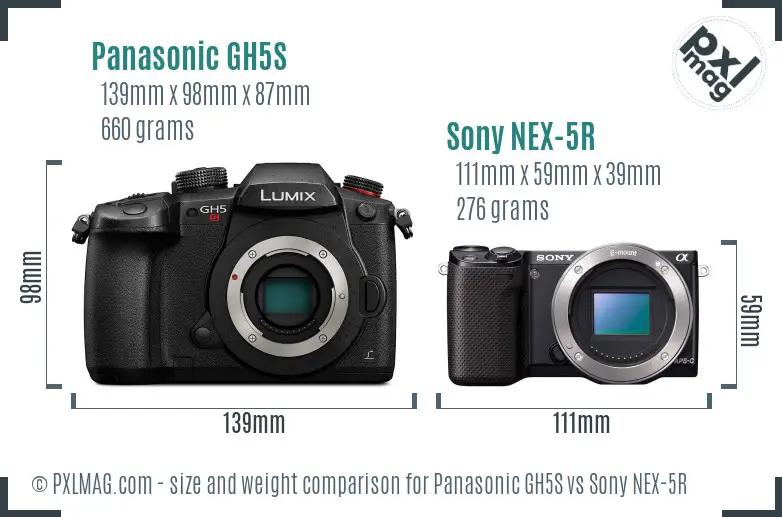 Panasonic GH5S vs Sony NEX-5R size comparison