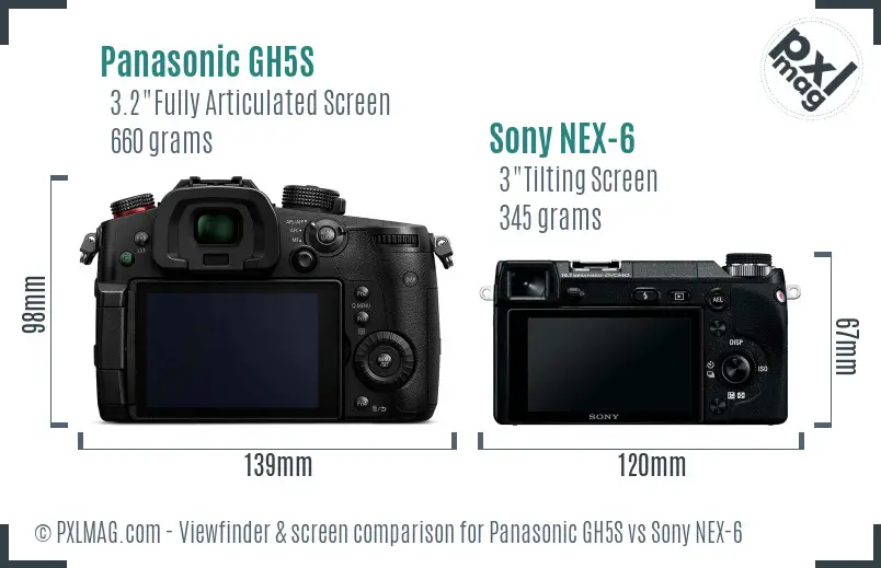 Panasonic GH5S vs Sony NEX-6 Screen and Viewfinder comparison