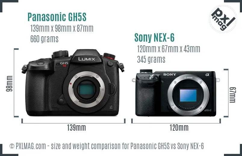 Panasonic GH5S vs Sony NEX-6 size comparison