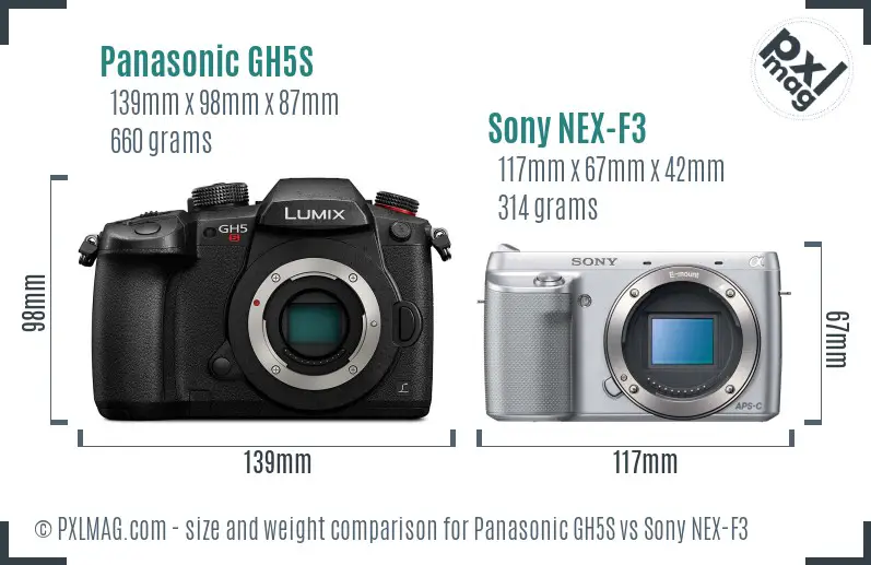 Panasonic GH5S vs Sony NEX-F3 size comparison