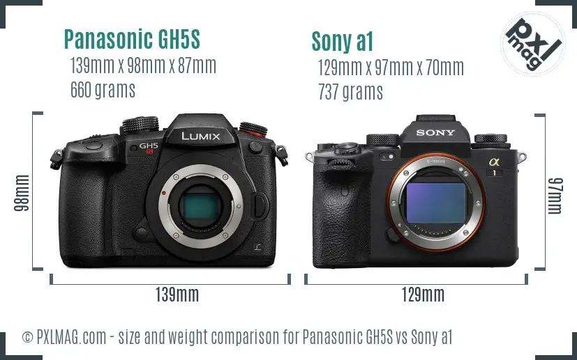 Panasonic GH5S vs Sony a1 size comparison