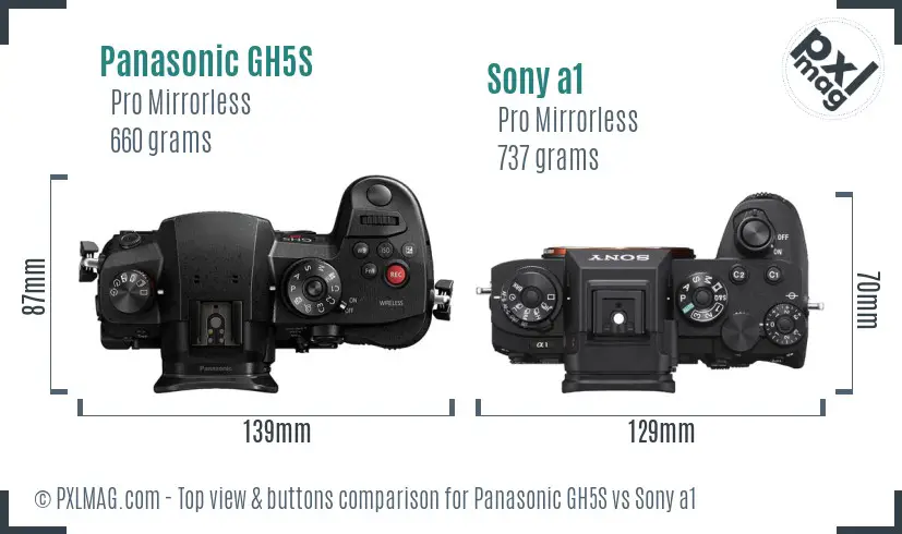 Panasonic GH5S vs Sony a1 top view buttons comparison