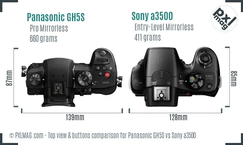 Panasonic GH5S vs Sony a3500 top view buttons comparison