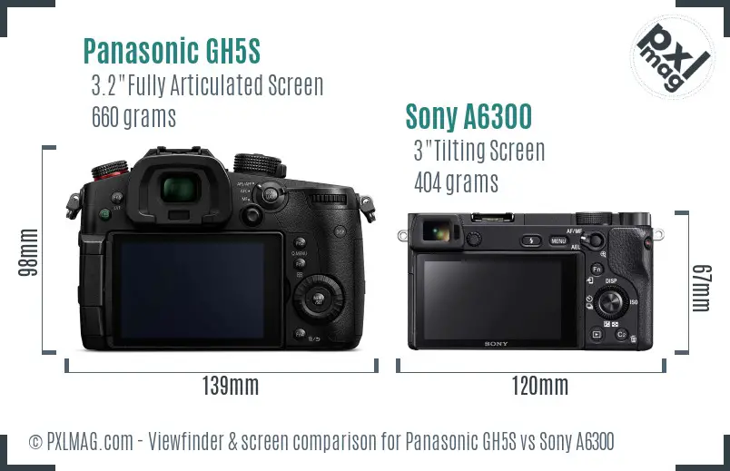 Panasonic GH5S vs Sony A6300 Screen and Viewfinder comparison