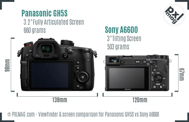 Panasonic GH5S vs Sony A6600 Screen and Viewfinder comparison