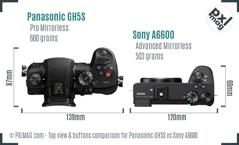 Panasonic GH5S vs Sony A6600 top view buttons comparison