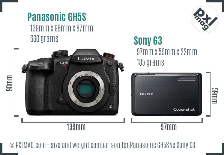 Panasonic GH5S vs Sony G3 size comparison