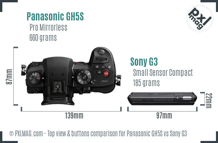 Panasonic GH5S vs Sony G3 top view buttons comparison
