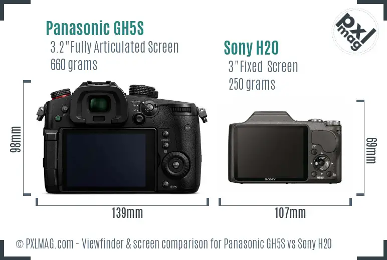 Panasonic GH5S vs Sony H20 Screen and Viewfinder comparison