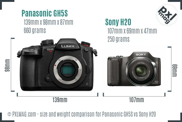 Panasonic GH5S vs Sony H20 size comparison