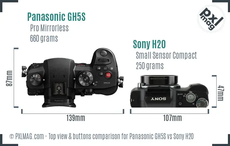 Panasonic GH5S vs Sony H20 top view buttons comparison