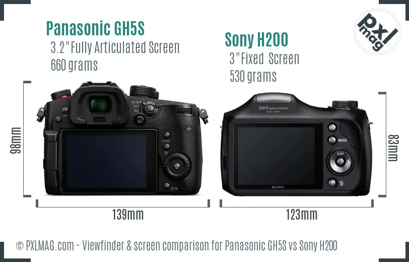 Panasonic GH5S vs Sony H200 Screen and Viewfinder comparison