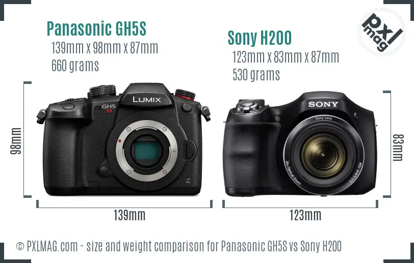 Panasonic GH5S vs Sony H200 size comparison