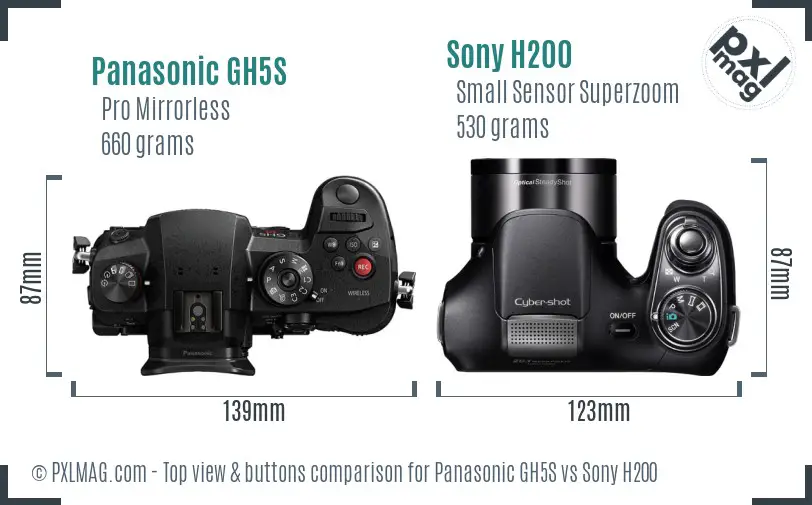 Panasonic GH5S vs Sony H200 top view buttons comparison