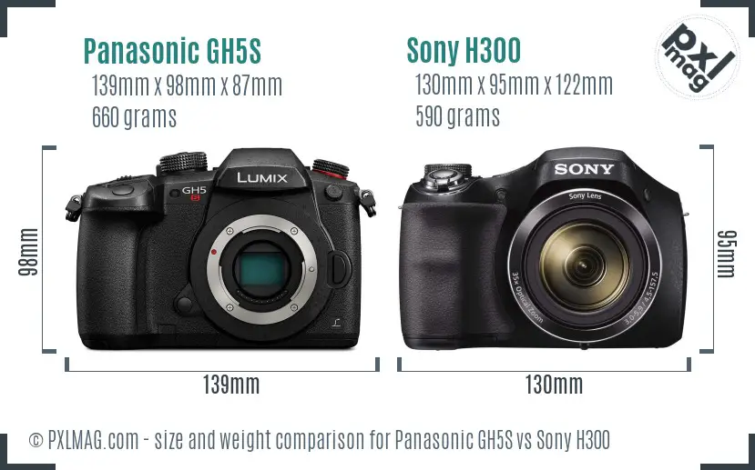 Panasonic GH5S vs Sony H300 size comparison