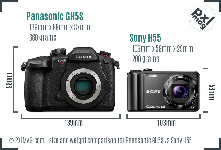 Panasonic GH5S vs Sony H55 size comparison