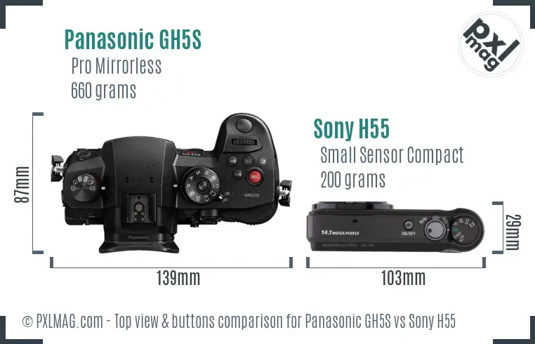 Panasonic GH5S vs Sony H55 top view buttons comparison