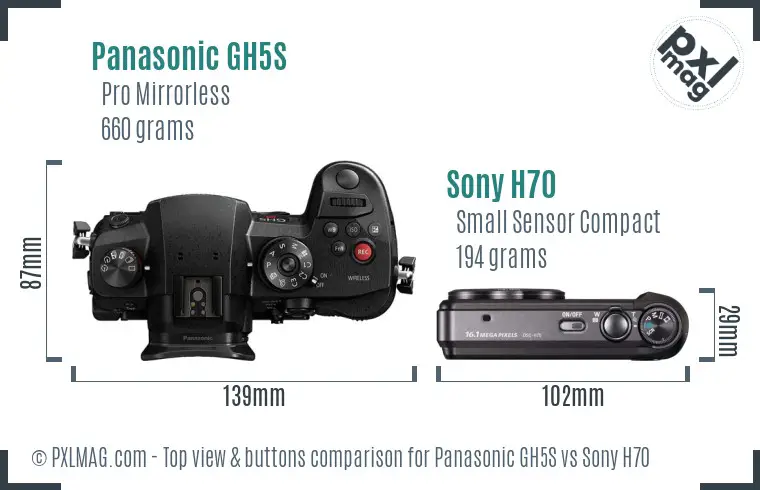 Panasonic GH5S vs Sony H70 top view buttons comparison
