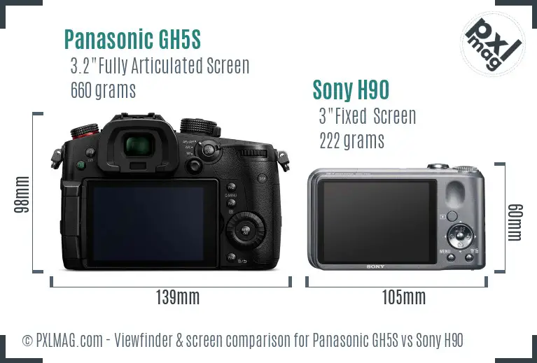 Panasonic GH5S vs Sony H90 Screen and Viewfinder comparison