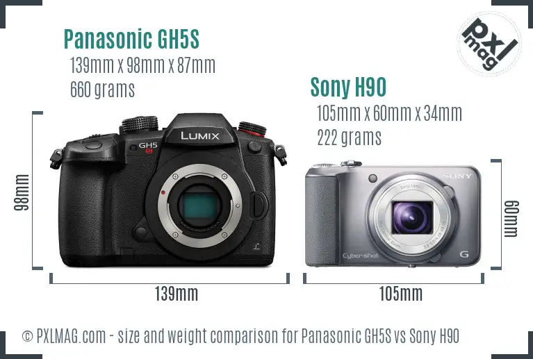 Panasonic GH5S vs Sony H90 size comparison