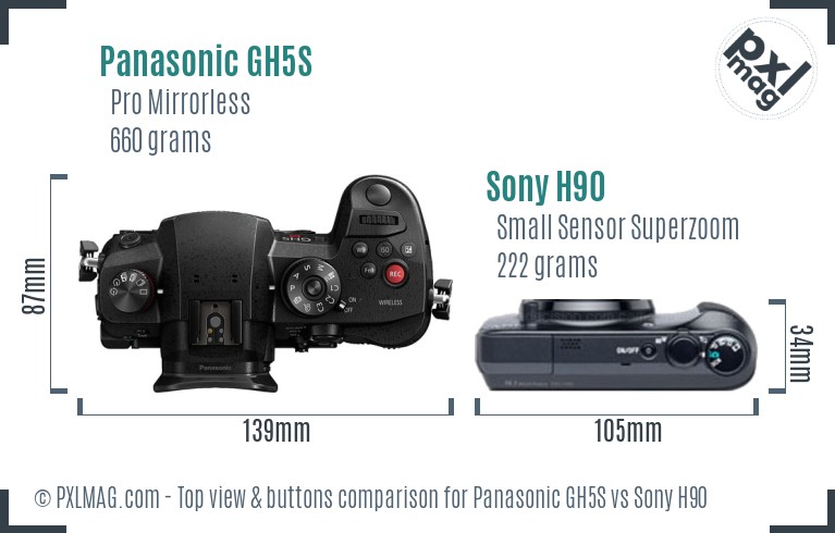 Panasonic GH5S vs Sony H90 top view buttons comparison