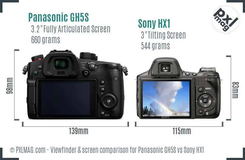 Panasonic GH5S vs Sony HX1 Screen and Viewfinder comparison