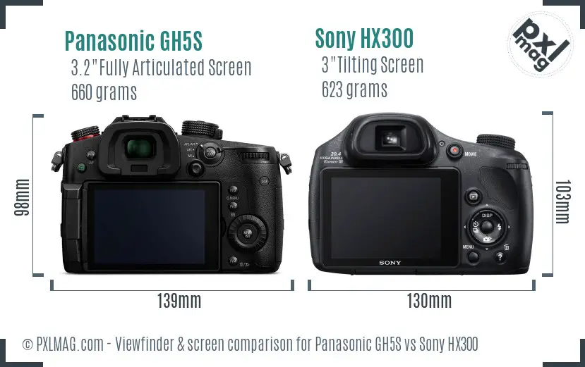 Panasonic GH5S vs Sony HX300 Screen and Viewfinder comparison