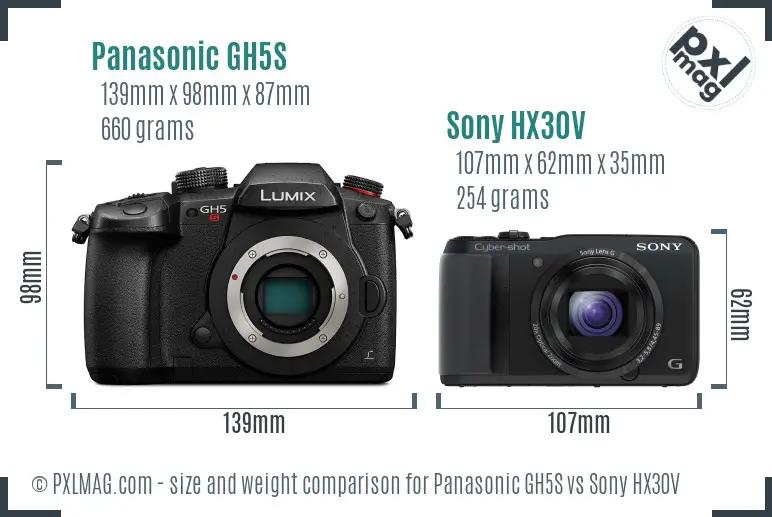 Panasonic GH5S vs Sony HX30V size comparison
