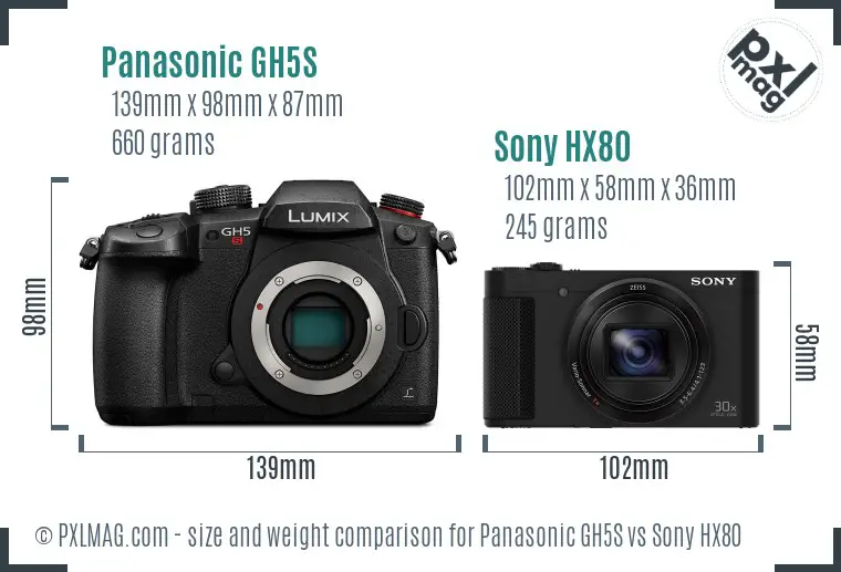 Panasonic GH5S vs Sony HX80 size comparison