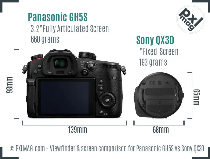 Panasonic GH5S vs Sony QX30 Screen and Viewfinder comparison