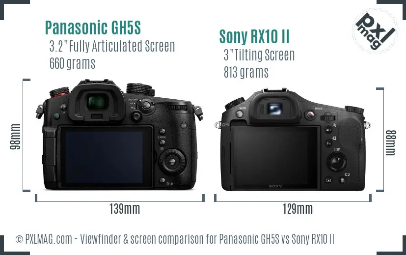 Panasonic GH5S vs Sony RX10 II Screen and Viewfinder comparison