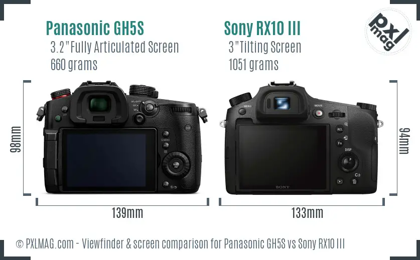 Panasonic GH5S vs Sony RX10 III Screen and Viewfinder comparison