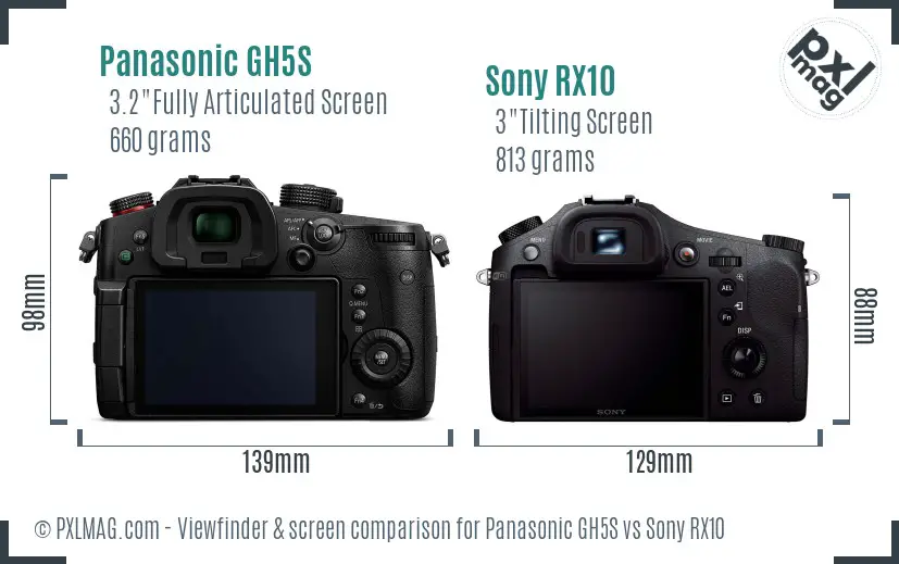 Panasonic GH5S vs Sony RX10 Screen and Viewfinder comparison