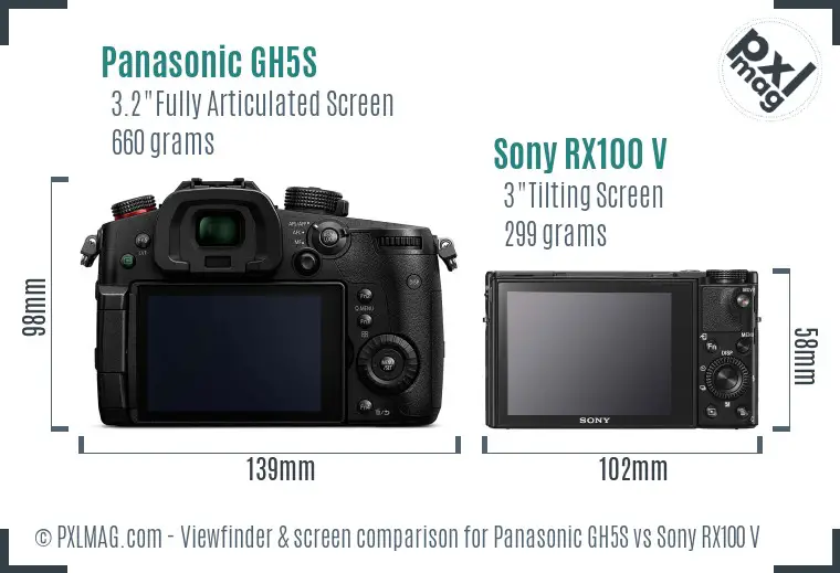 Panasonic GH5S vs Sony RX100 V Screen and Viewfinder comparison