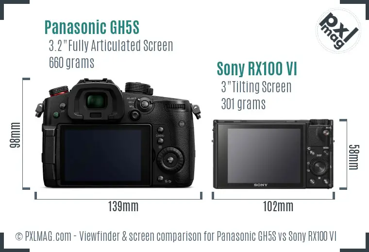 Panasonic GH5S vs Sony RX100 VI Screen and Viewfinder comparison